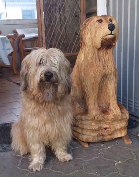  Hirtenhund geschnitzt mit Kettensäge