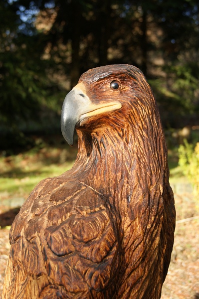 Adler vom Motorsägenschnitzer