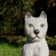Katzenskulptur geschnitzt
