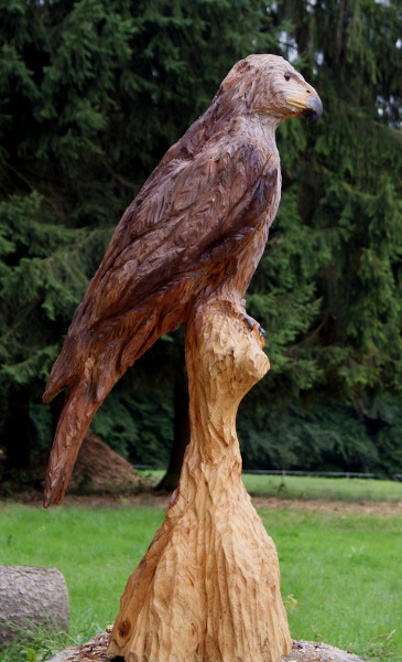 Adler vom Motorsägenschnitzer